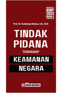 Image of Tindak Pidana Terhadap Keamanan Negara